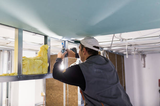 Best DIY Insulation Kits and Guidance in Castroville, TX