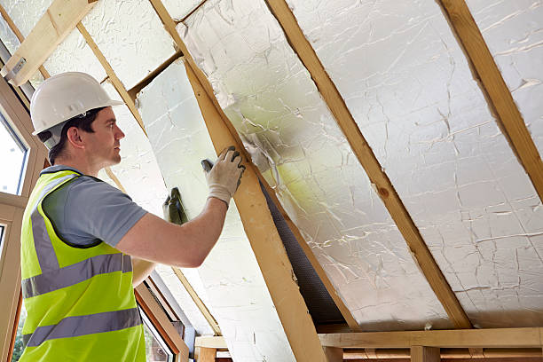 Best Insulation Maintenance and Repair in Castroville, TX